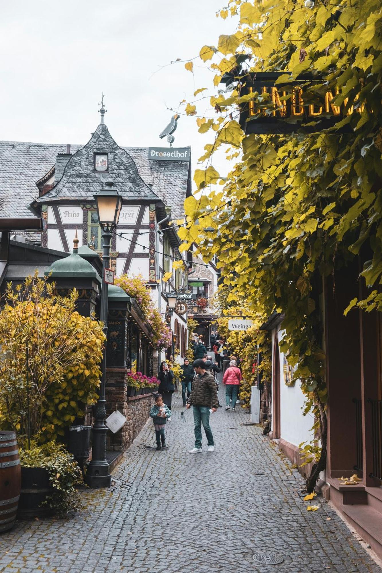 Hotel Zur Loreley - Garni Sankt Goar Luaran gambar